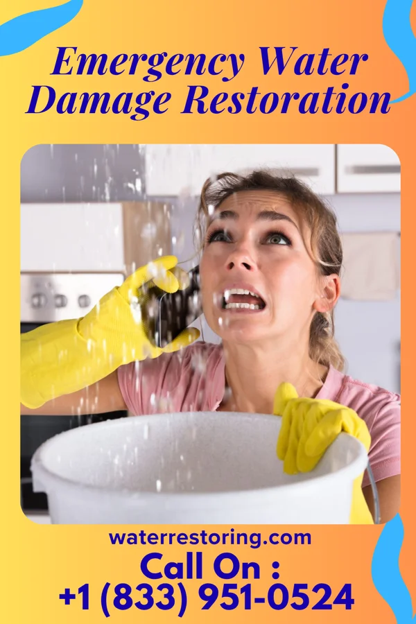 Emergency Water Damage Restoration in Wayland, MI