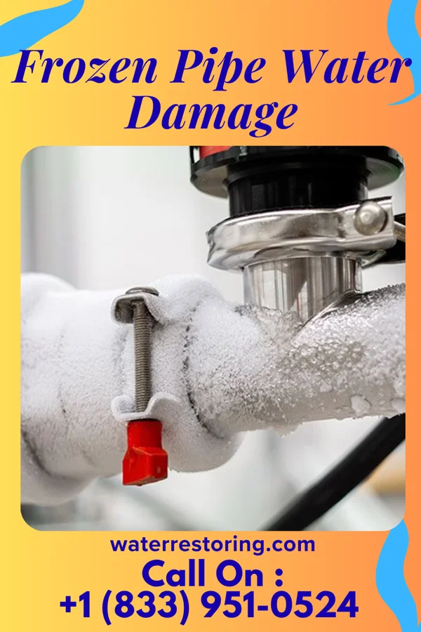 Frozen Pipe Water Damage in Wayland, MI
