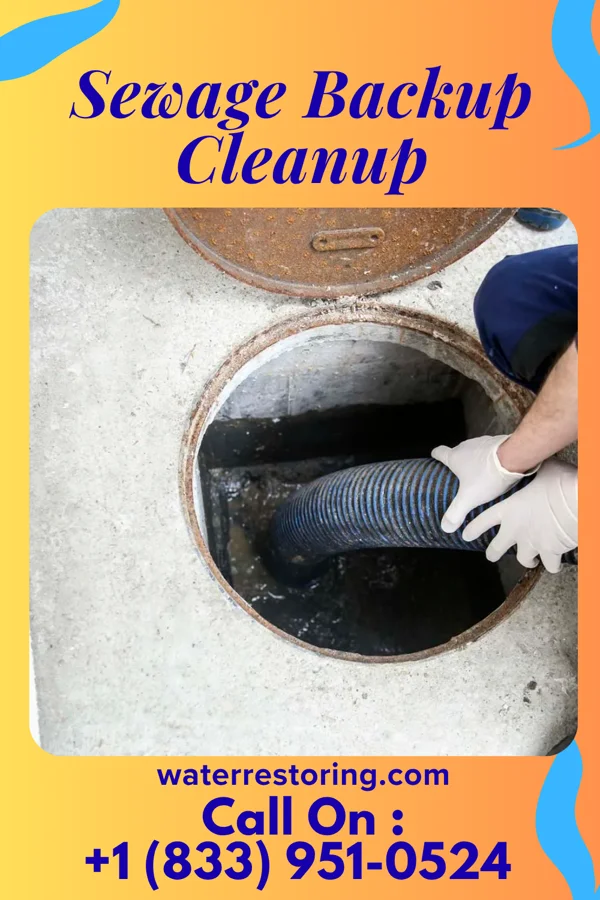 Sewage Backup Cleanup in Wayland, MI
