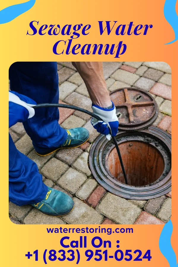 Sewage Water Cleanup in Wayland, MI